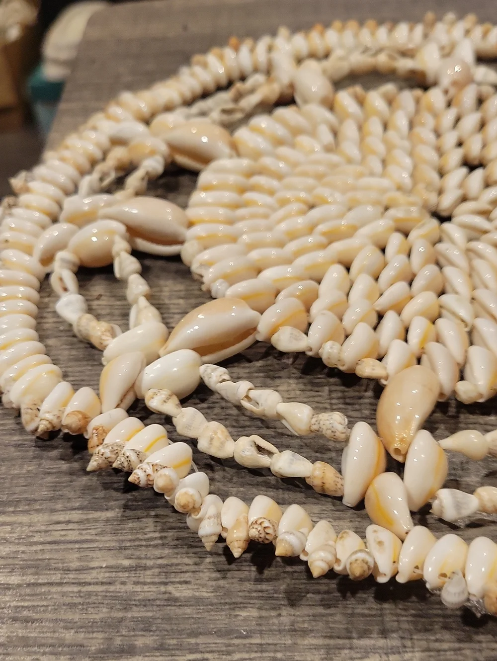 Cowrie Shell Trivet Or Plant Doilie:) EUC / 11 Inches Across